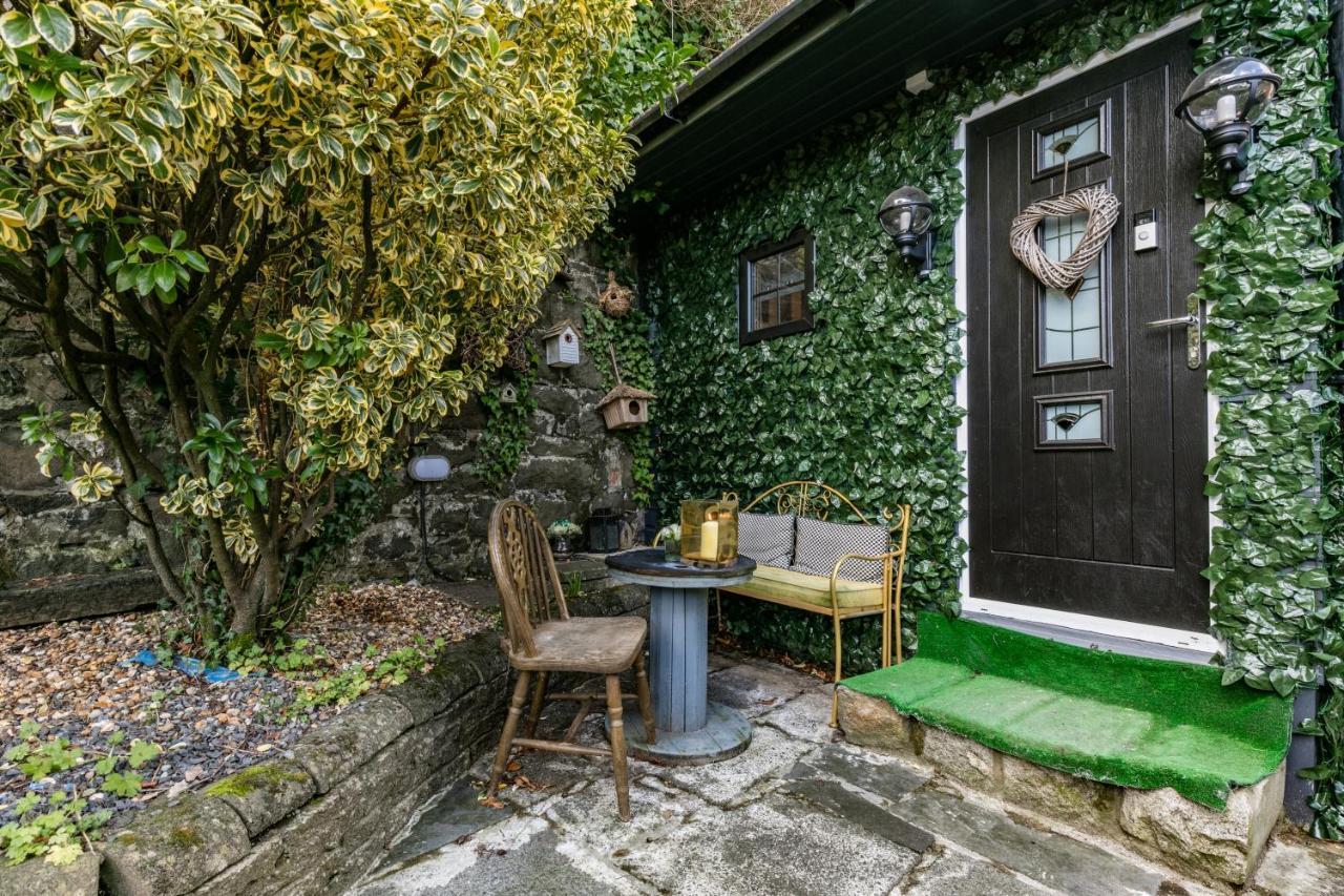 Belfast Cosy Cabin エクステリア 写真